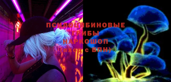 СК Алзамай