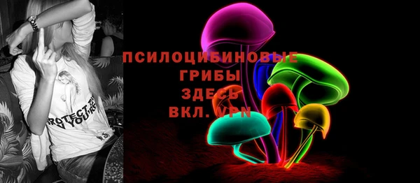 СК Алзамай
