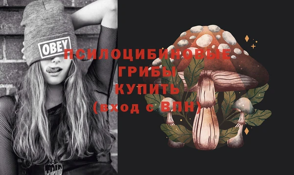 соль ск Алексеевка