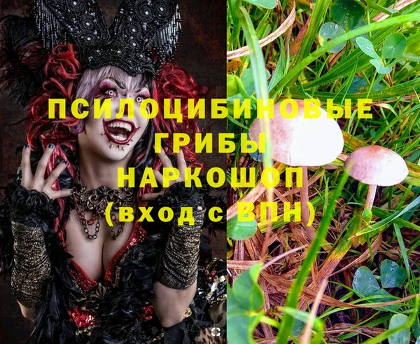 соль ск Алексеевка