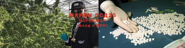СК Алзамай
